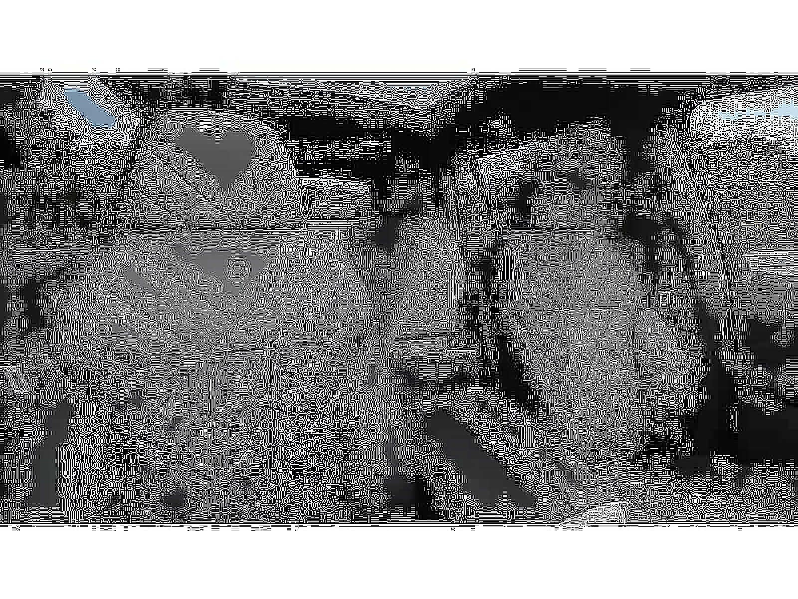 2026 BMW X7 xDrive40i Sports Activity Vehicle