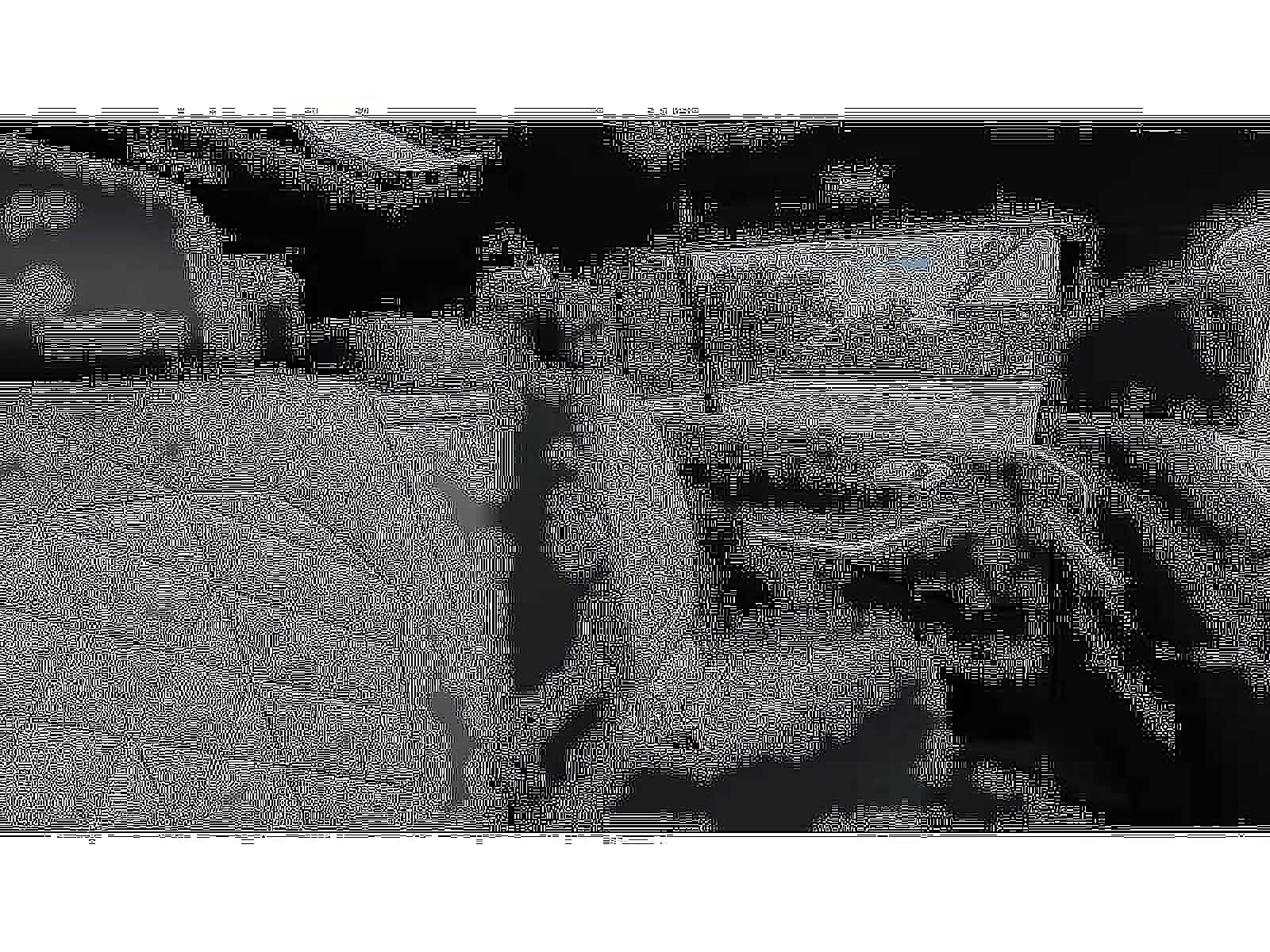 2026 BMW X7 xDrive40i Sports Activity Vehicle