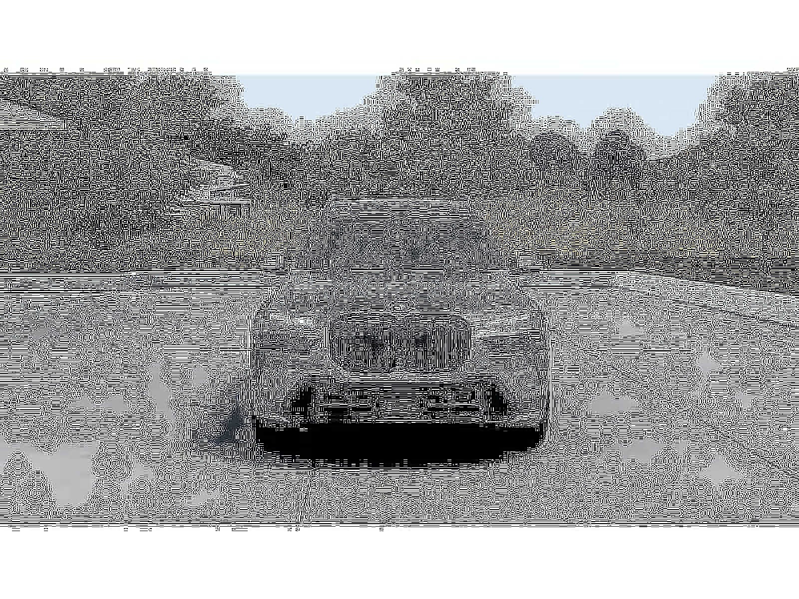 2026 BMW X7 xDrive40i Sports Activity Vehicle