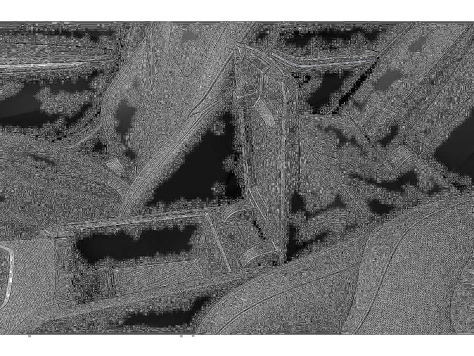 2026 BMW 3 Series 330i xDrive Sedan