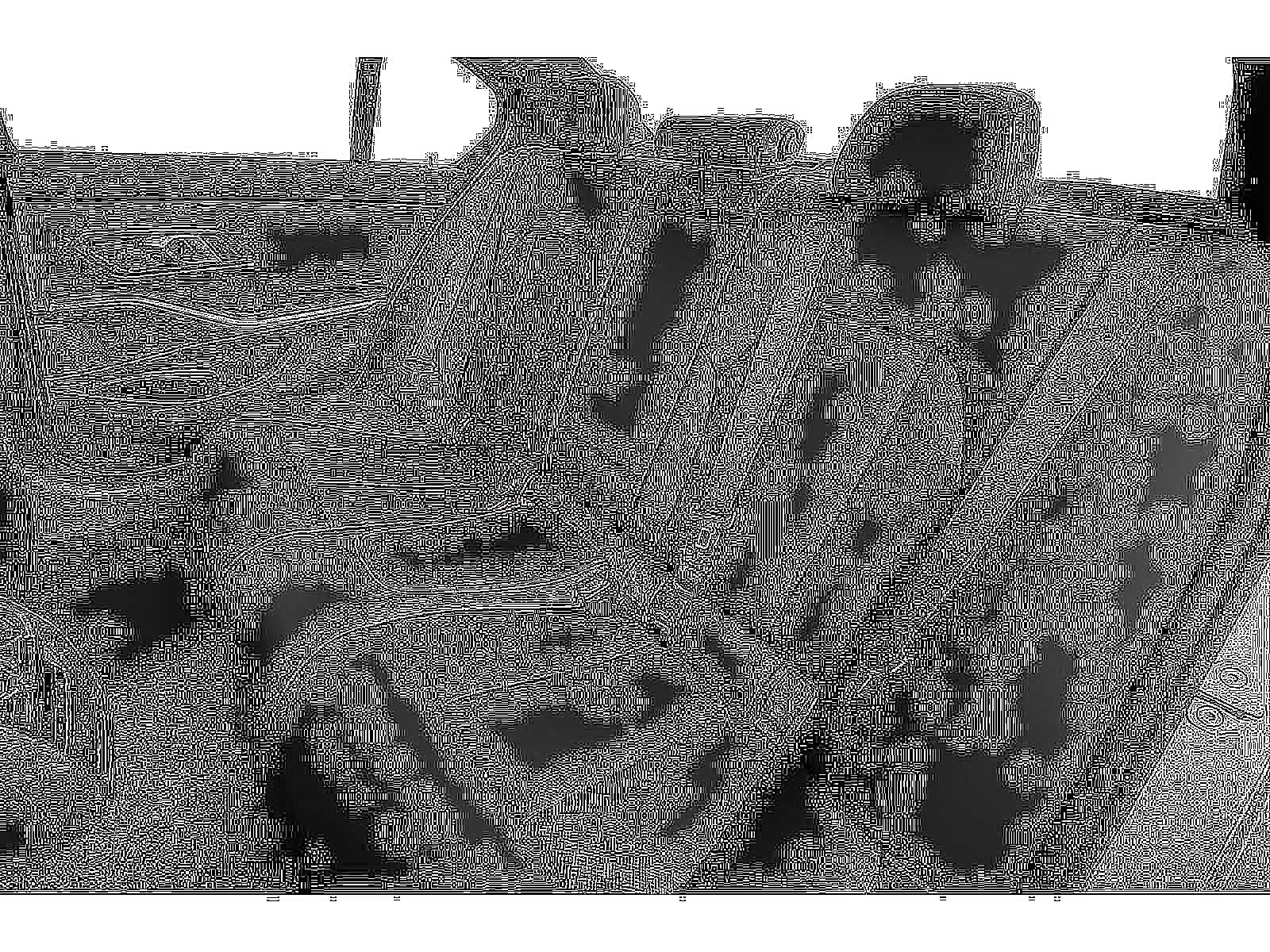 2026 BMW 3 Series 330i xDrive Sedan