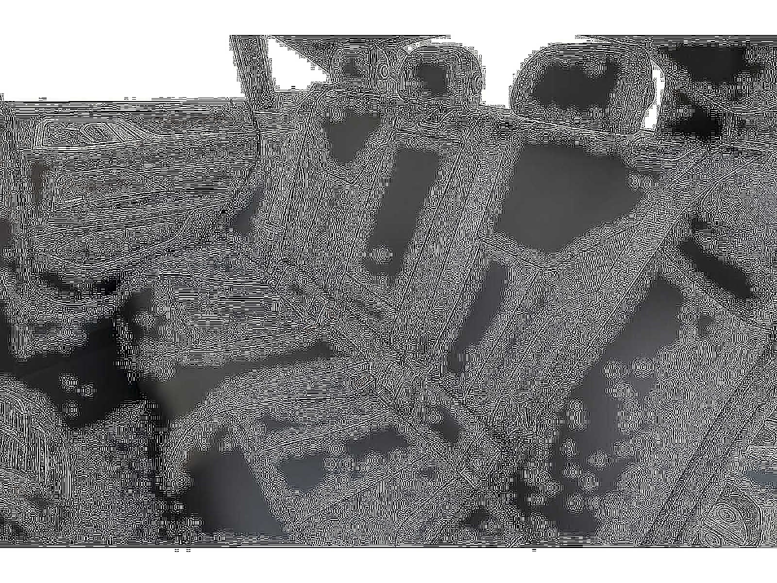 2026 BMW 4 Series 430i xDrive Gran Coupe