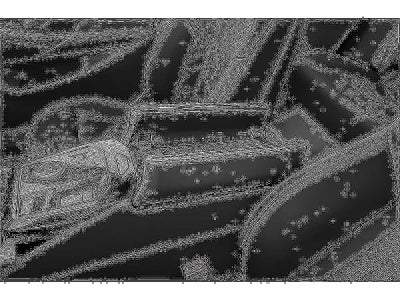 2026 BMW 5 Series 530i xDrive Sedan