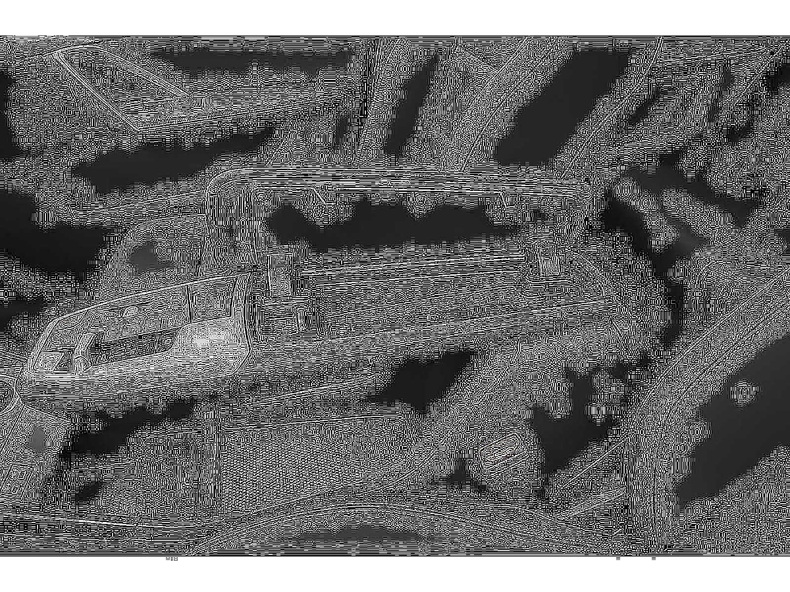 2026 BMW X2 xDrive28i Sports Activity Coupe